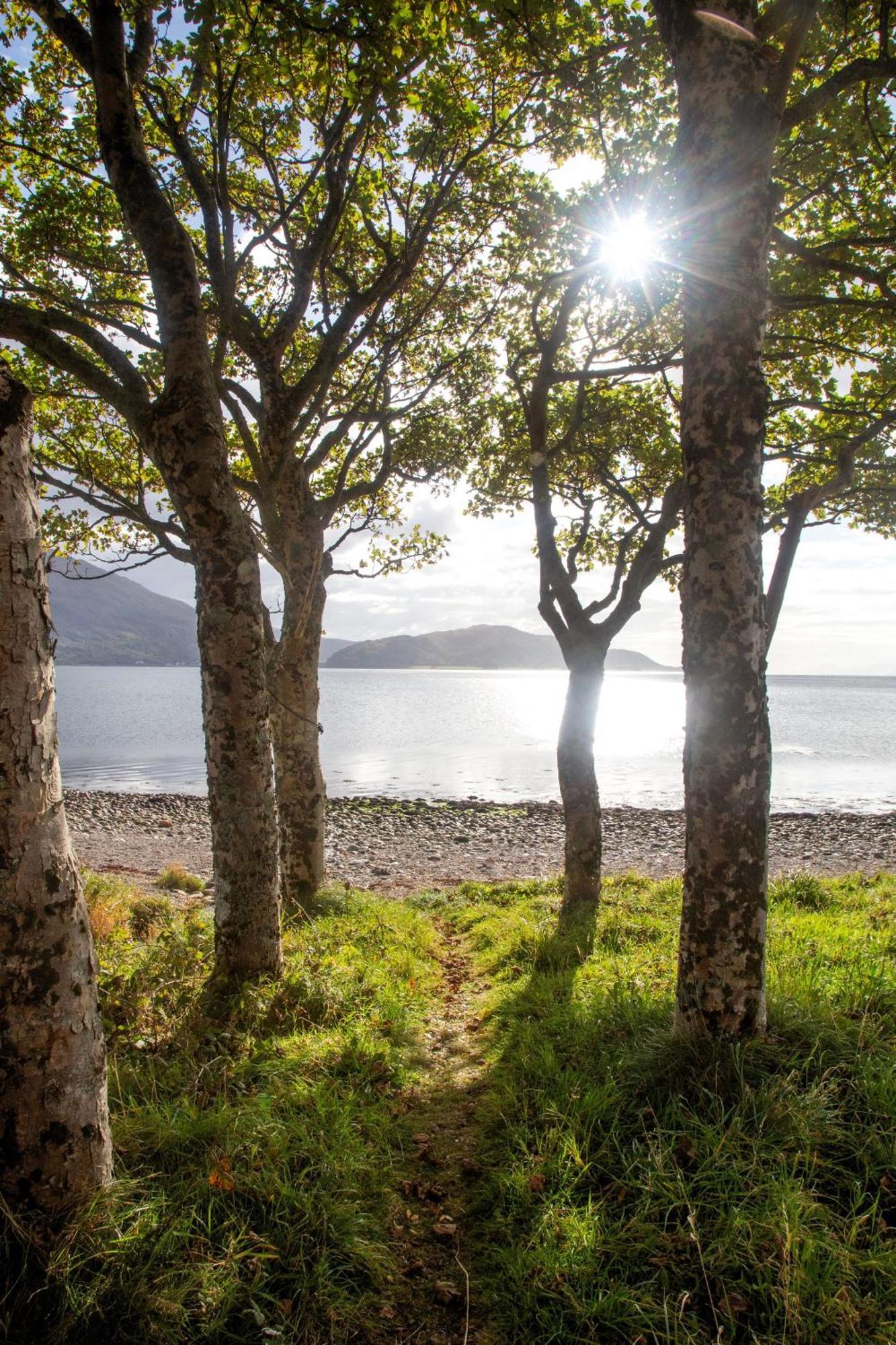 Ash, Birch And Rowan Self Catering Cabins Onich Eksteriør bilde
